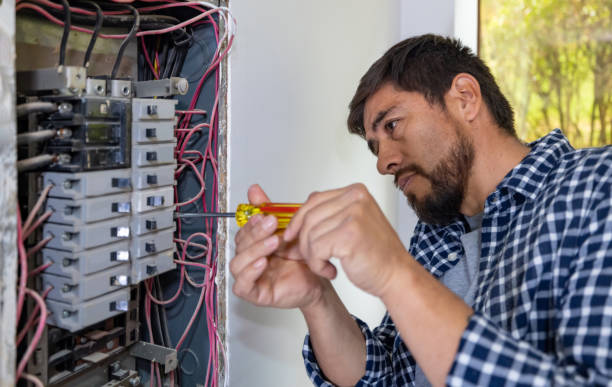 Best Electrical Upgrades for Homes  in Wagener, SC
